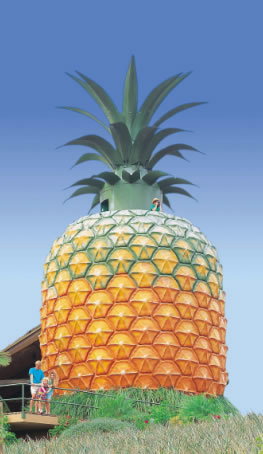 The Big Pineapple - St Kilda Accommodation 0