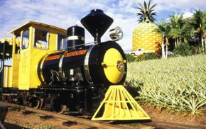 The Big Pineapple - St Kilda Accommodation 3
