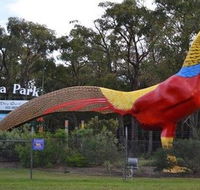 Gumbuya Park - St Kilda Accommodation