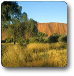 Uluru NT St Kilda Accommodation
