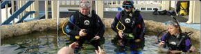 Scuba World - St Kilda Accommodation 2