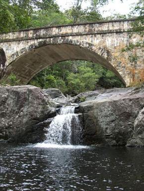 Kookaburra Tours - St Kilda Accommodation 3