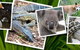 Rockhampton Zoo - thumb 2