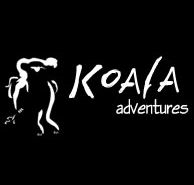 Koala Adventures - St Kilda Accommodation