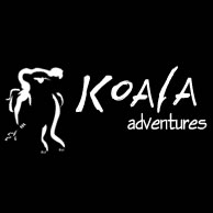 Koala Adventures - St Kilda Accommodation 0