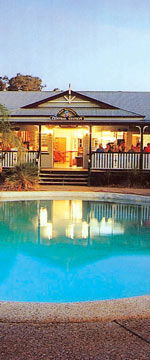 Koala Adventures - St Kilda Accommodation 2