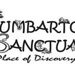 Kumbartcho Sanctuary - St Kilda Accommodation