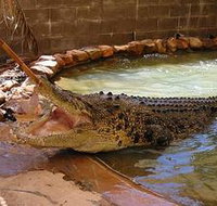 Wyndham Zoological Gardens and Crocodile Park - St Kilda Accommodation