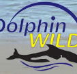 Dolphin Wild - St Kilda Accommodation