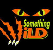 Something Wild - St Kilda Accommodation