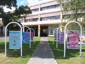 Cadbury Chocolate Factory Tour - St Kilda Accommodation 2