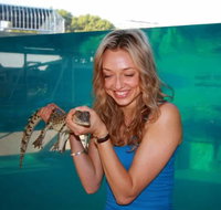 Crocosaurus Cove - St Kilda Accommodation