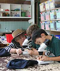 Australian National Botanic Gardens - St Kilda Accommodation 2