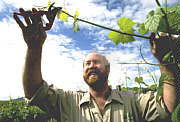Roseworthy SA St Kilda Accommodation