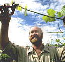 Barossa Experience Tours - St Kilda Accommodation