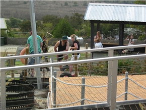  St Kilda Accommodation