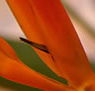Zen Day Spa - St Kilda Accommodation