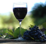 Lion Mill Vineyards - St Kilda Accommodation