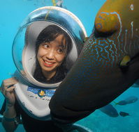 Sunlover Reef Cruises - St Kilda Accommodation