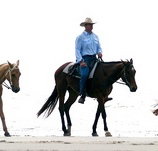 Ride the Beach - St Kilda Accommodation
