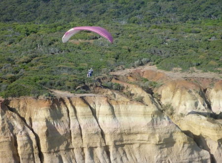 Airsports Adventure Flights - St Kilda Accommodation 2