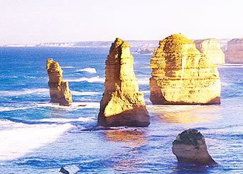 Bunyip Tours - St Kilda Accommodation 3