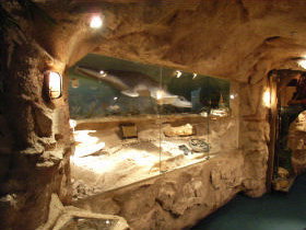 The National Opal Collection - St Kilda Accommodation 2
