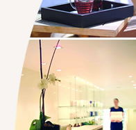 Lyall Hotel and Spa - St Kilda Accommodation