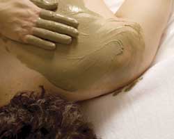 Alkaline Spa & Clinic - St Kilda Accommodation 2
