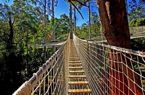 FreemanX Experience - St Kilda Accommodation 2