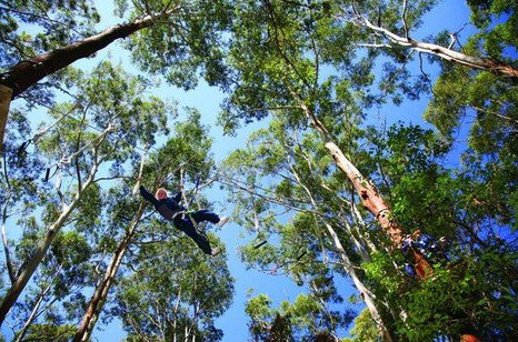 FreemanX Experience - St Kilda Accommodation 5