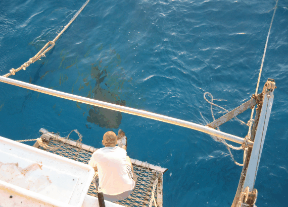 Carlo Fishing Charters - St Kilda Accommodation 4