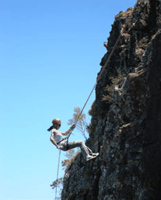 Adventures Around Brisbane - St Kilda Accommodation 1