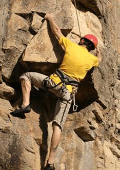 Adventures Around Brisbane - St Kilda Accommodation 3