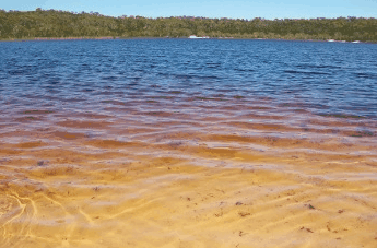 Beach Trekkers North Stradbroke Island - St Kilda Accommodation 1