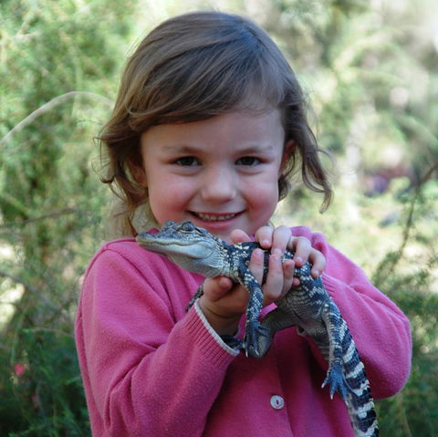 Australian Reptile Park - St Kilda Accommodation 2