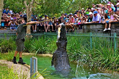 Australian Reptile Park - St Kilda Accommodation 4