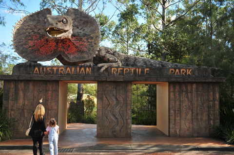 Australian Reptile Park - St Kilda Accommodation 5