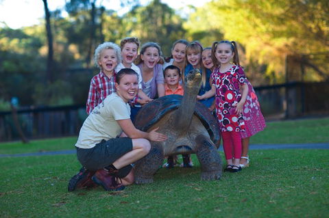 Australian Reptile Park - St Kilda Accommodation 11