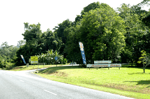 Bruce Belchers Daintree River Cruise - St Kilda Accommodation 0