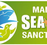 Manly SEA LIFE Sanctuary - St Kilda Accommodation