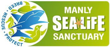 Manly SEA LIFE Sanctuary - St Kilda Accommodation 0