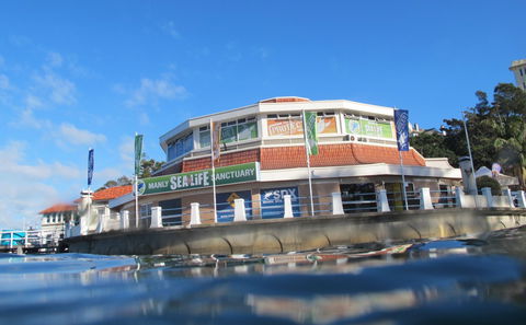 Manly SEA LIFE Sanctuary - St Kilda Accommodation 2