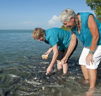 Aquascene Fish Feeding Sanctuary - St Kilda Accommodation