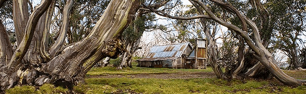 High Country Scenic Tours - St Kilda Accommodation