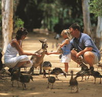 Billabong Sanctuary - St Kilda Accommodation