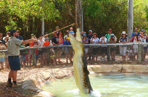Billabong Sanctuary - St Kilda Accommodation 2