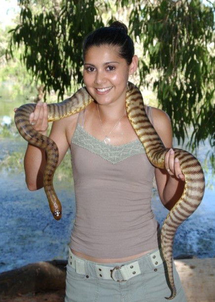 Billabong Sanctuary - St Kilda Accommodation 4