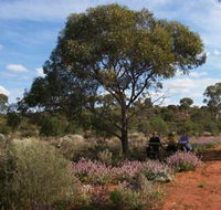 Karlkurla Bushland Park - St Kilda Accommodation