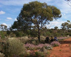 Karlkurla Bushland Park - St Kilda Accommodation 0